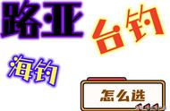 探索钓鱼的奥秘：台钓、路亚和海钓哪种更适合你？