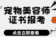 详解宠物美容师证书：颁发部门、报考流程、条件及费用全攻略