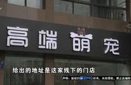 换名字背后的故事：为何频繁登上1818黄金眼？