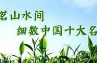 中国十大名茶：传承千年的茶韵之美